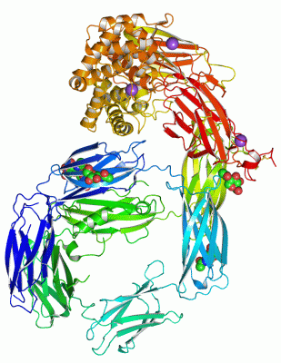 Image Asym./Biol. Unit - manually