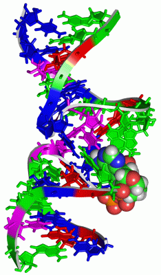 Image NMR Structure - manually