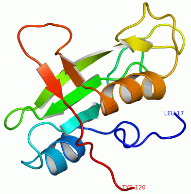 Image NMR Structure - manually