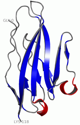 Image Asym./Biol. Unit - manually