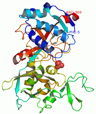 Image Asym./Biol. Unit - manually