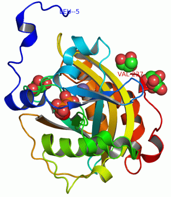 Image Asym./Biol. Unit - manually