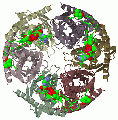 Image Biol.Unit 1 - manually