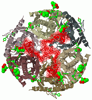 Image Biol.Unit 1 - manually