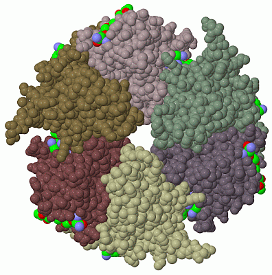 Image Biol.Unit 1 - manually