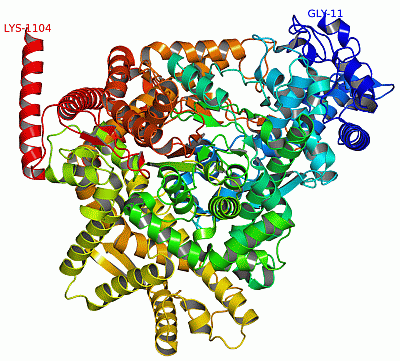 Image Asym./Biol. Unit - manually