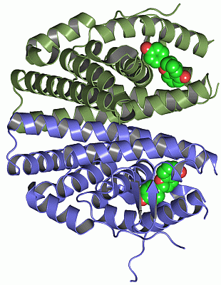 Image Asym./Biol. Unit - manually