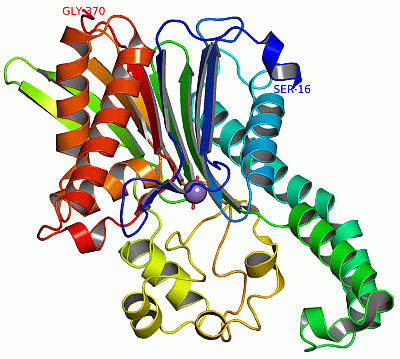 Image Asym./Biol. Unit - manually