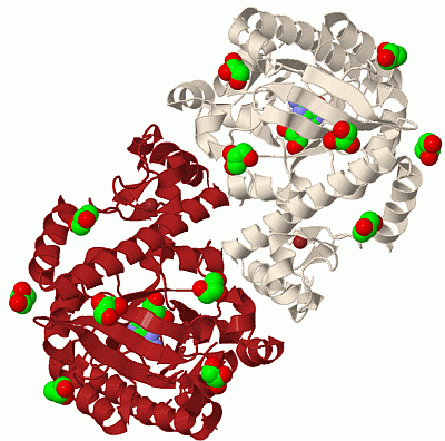 Image Biol.Unit 1 - manually