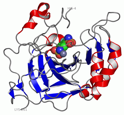 Image Asym./Biol. Unit - manually