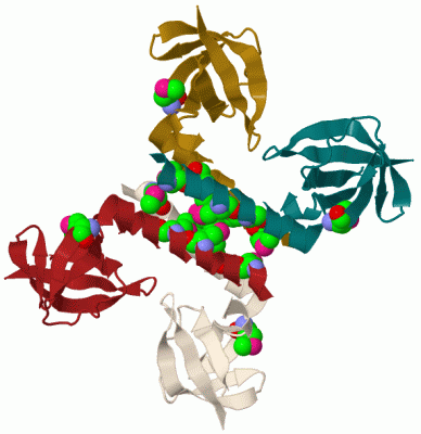 Image Biol.Unit 1 - manually