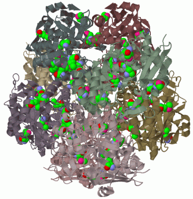 Image Biol.Unit 1 - manually