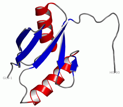 Image NMR Structure - manually