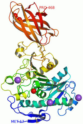 Image Asym./Biol. Unit - manually