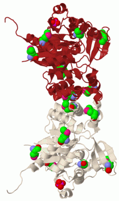 Image Biol.Unit 1 - manually