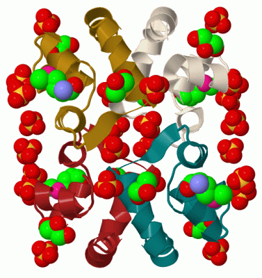 Image Biol.Unit 1 - manually