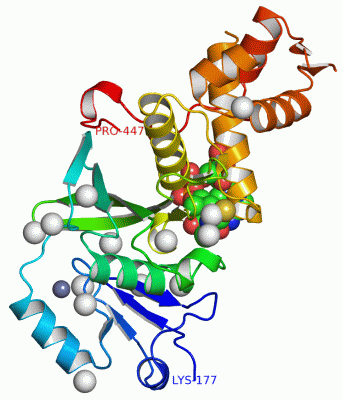 Image Asym./Biol. Unit - manually