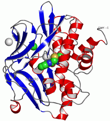 Image Asym./Biol. Unit - manually
