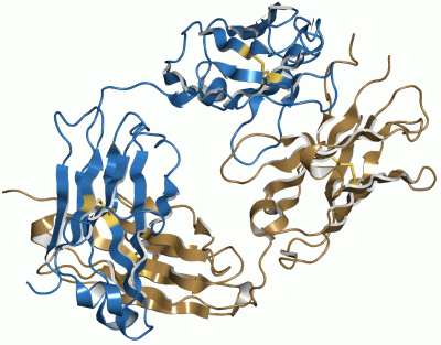 Image Asym./Biol. Unit - manually