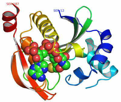 Image Asym./Biol. Unit - manually