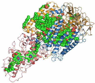 Image Asym./Biol. Unit - manually