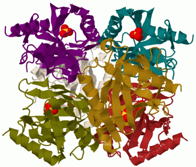 Image Biol.Unit 1 - manually