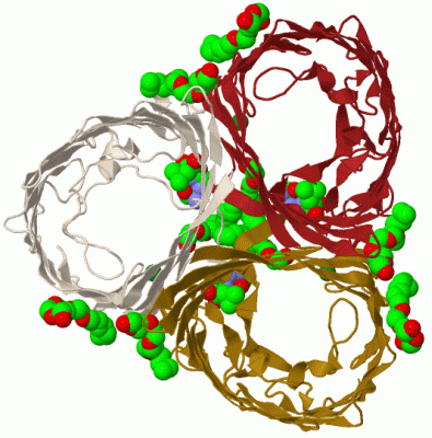 Image Biol.Unit 1 - manually