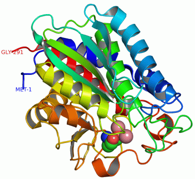 Image Asym./Biol. Unit - manually