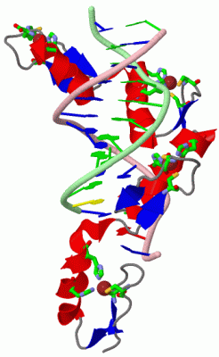 Image Asym./Biol. Unit - manually