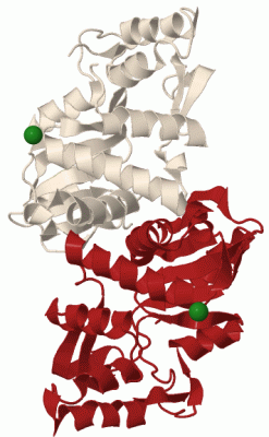 Image Biol.Unit 1 - manually