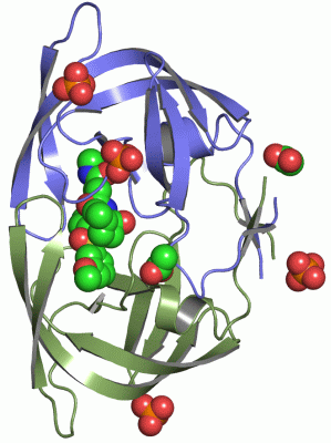 Image Asym./Biol. Unit - manually
