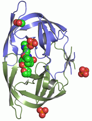 Image Asym./Biol. Unit - manually