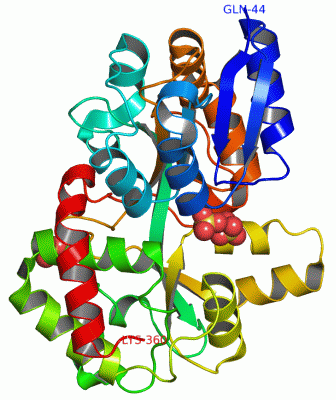 Image Asym./Biol. Unit - manually