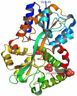 Image Asym./Biol. Unit - manually