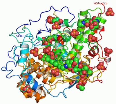 Image Asym./Biol. Unit - manually