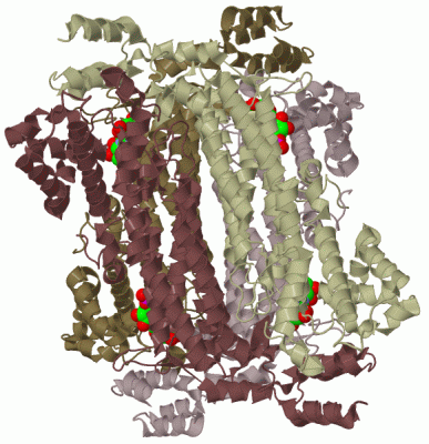 Image Biol.Unit 1 - manually