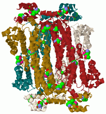 Image Biol.Unit 1 - manually