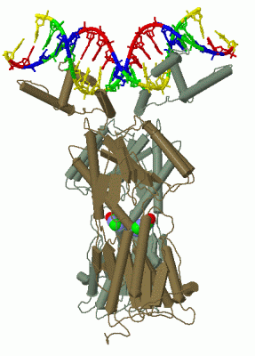 Image Biol.Unit 1 - manually