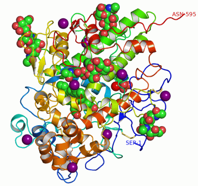 Image Asym./Biol. Unit - manually