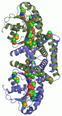 Image Asym./Biol. Unit - manually