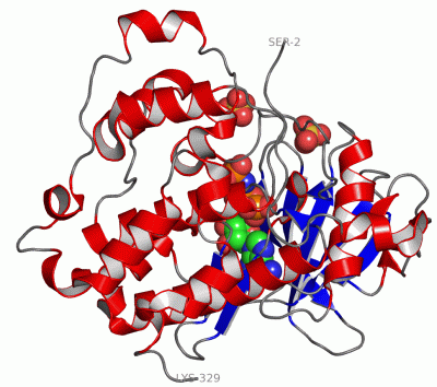 Image Asym./Biol. Unit - manually