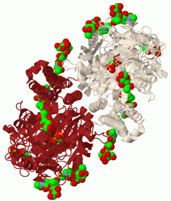 Image Biol.Unit 1 - manually