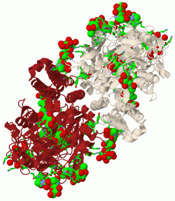 Image Biol.Unit 1 - manually