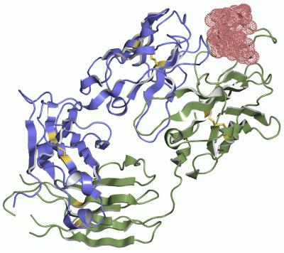 Image Asym./Biol. Unit - manually