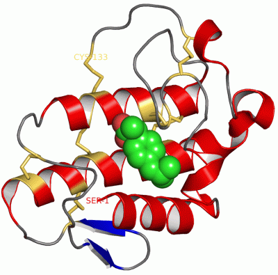 Image Asym./Biol. Unit - manually