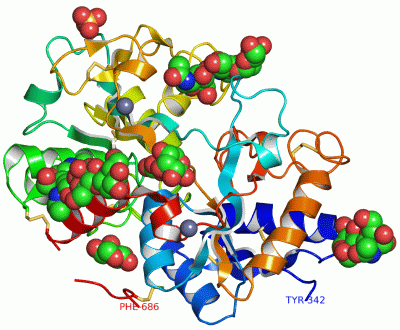 Image Asym./Biol. Unit - manually