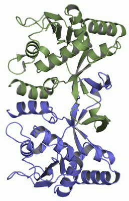 Image Asym./Biol. Unit - manually