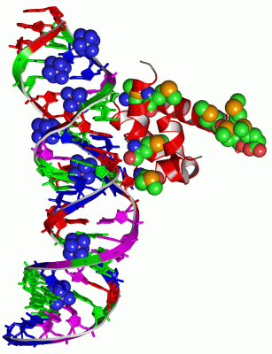 Image Asym./Biol. Unit - manually