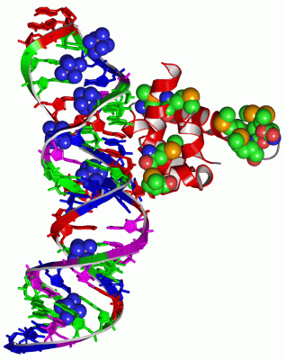 Image Asym./Biol. Unit - manually