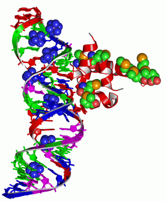 Image Asym./Biol. Unit - manually